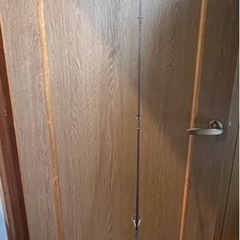 フィンのバスロッドの画像