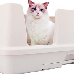 ペットトイレ大型の画像