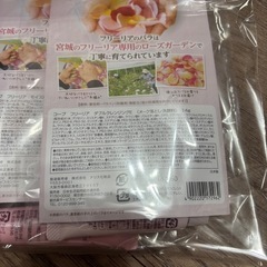 コープ化粧品　フリーリア　試供品の画像