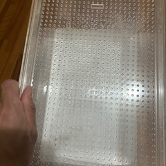 爬虫類　アクリルケージの画像