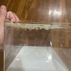 爬虫類　アクリルケージの画像