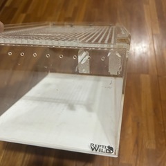 爬虫類　アクリルケージの画像