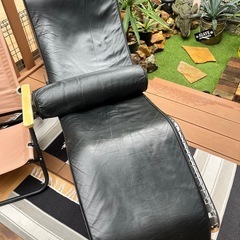 カッシーナ❓の画像