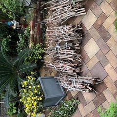 木の剪定枝ですの画像