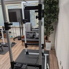 ほぼ未使用 美品 BODYDESIGN（ボディデザイン）とパワーラック PRO ナローの画像