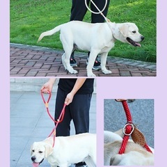 ペット用ハーネス の画像