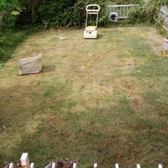 RYOBI電子芝刈機の画像