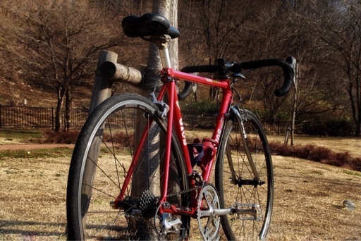 Gios evolution