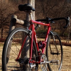 Gios evolutionの画像