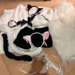 ハロウィン猫衣装(小物)
の画像