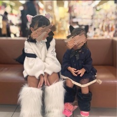 ハロウィン猫衣装(小物)
の画像