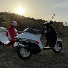 タクト　AF09の画像