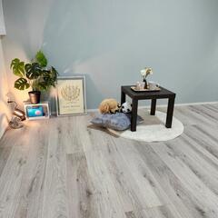 🎊敷礼無料！北欧風のステキなお部屋、おしゃれで落ち着ける空間