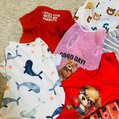 わんちゃん🐕 ͗ ͗🐶の洋服&レインコート
の画像