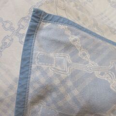 CELINE セリーヌ　高級毛布　ブランドロゴ刺繍入り　総柄　　シングルブランケットの画像