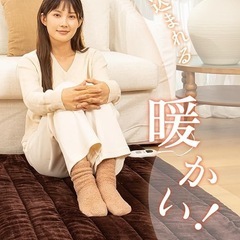 ホットカーペット 180×80cm洗える電気カーペット 滑り防止加工 PSE認証の画像