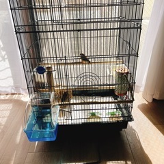 鳥かご バードーケージ 大きめインコ・オウムなどになどに の画像