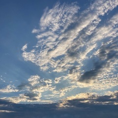 ☆サッカー好きな男の子友達募集☆