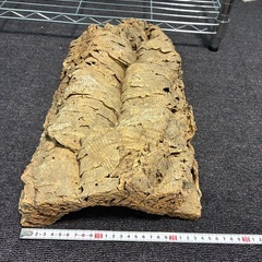 コルク 爬虫類   植物 インテリア シェルターの画像