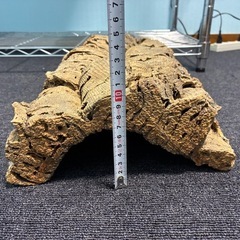 コルク 爬虫類   植物 インテリア シェルターの画像