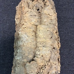 コルク 爬虫類   植物 インテリア シェルターの画像