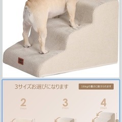 ペットスロープ（決まりました）の画像