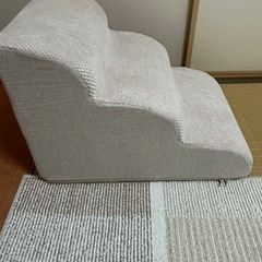 ペットスロープ（決まりました）の画像