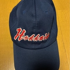 【美品】国体ジャージの画像