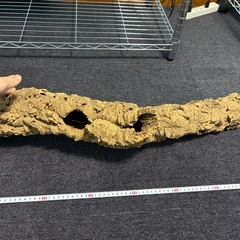 コルク キャノン型の画像