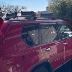 terzo　スキーキャリアの画像