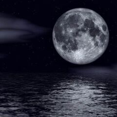 いろんな友達募集