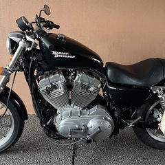 即乗り可能　2009年式　スポーツスター883 インジェクション車検8年3月　の画像