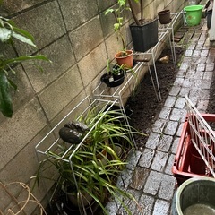 灯油タンク、プランタースタンド、カゴの画像