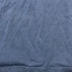 【LAND'S END】ランズエンド（L）シンプル Tシャツの画像