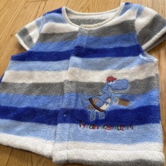 ㊺スリーパー95cmの画像