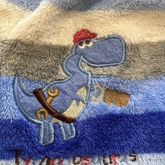 ㊺スリーパー95cmの画像