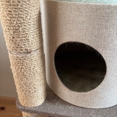 宇美町無料　キャットタワーの画像