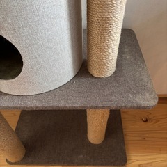 宇美町無料　キャットタワーの画像