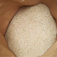 2025年三重県産キヌヒカリ玄米30kg‼️
の画像