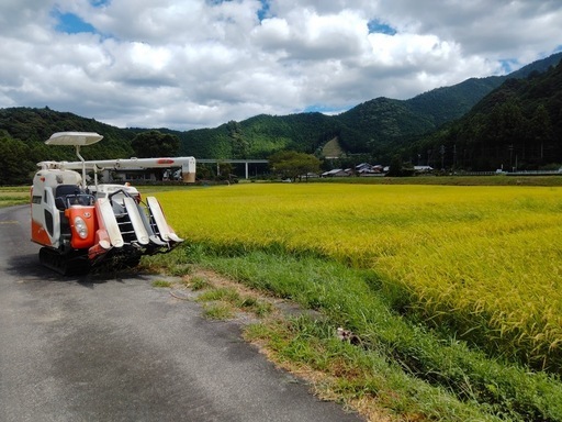 2025年三重県産キヌヒカリ玄米30kg‼️