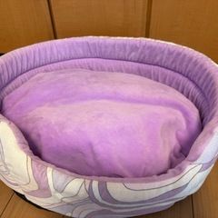 Radyペット用ベッド プッチ柄風の画像