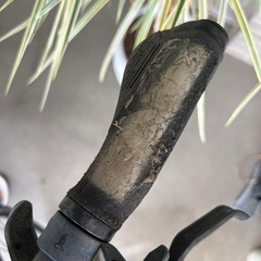 TREK　クロスバイクの画像