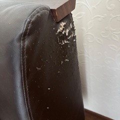 ニトリ　ソファの画像