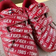 中古 16 cm トミー Tommy Hilfiger スニーカー シューズ キッズの画像