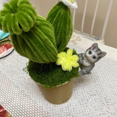 #ぬくもりテラスモール中級コース②の画像