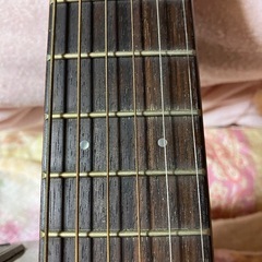 ヤマハのエレアコの画像