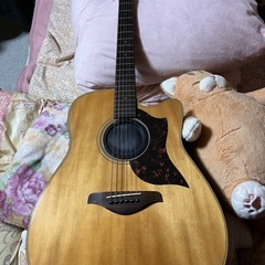 ヤマハのエレアコの画像