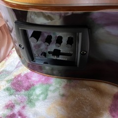 ヤマハのエレアコの画像