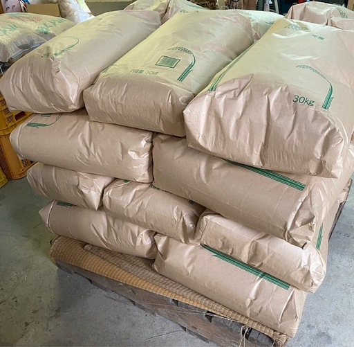 　お 米（R7年産）　玄米　10kg　　　