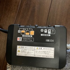 カーペット　電気カーペット　3畳の画像